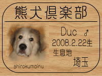 PyreneesBull����̂a�k�n�f�ւf�n�I